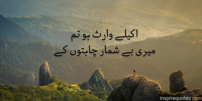 2 lines poetry in urdu